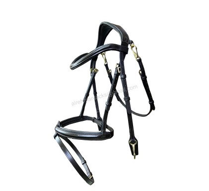 Leather Bridle 